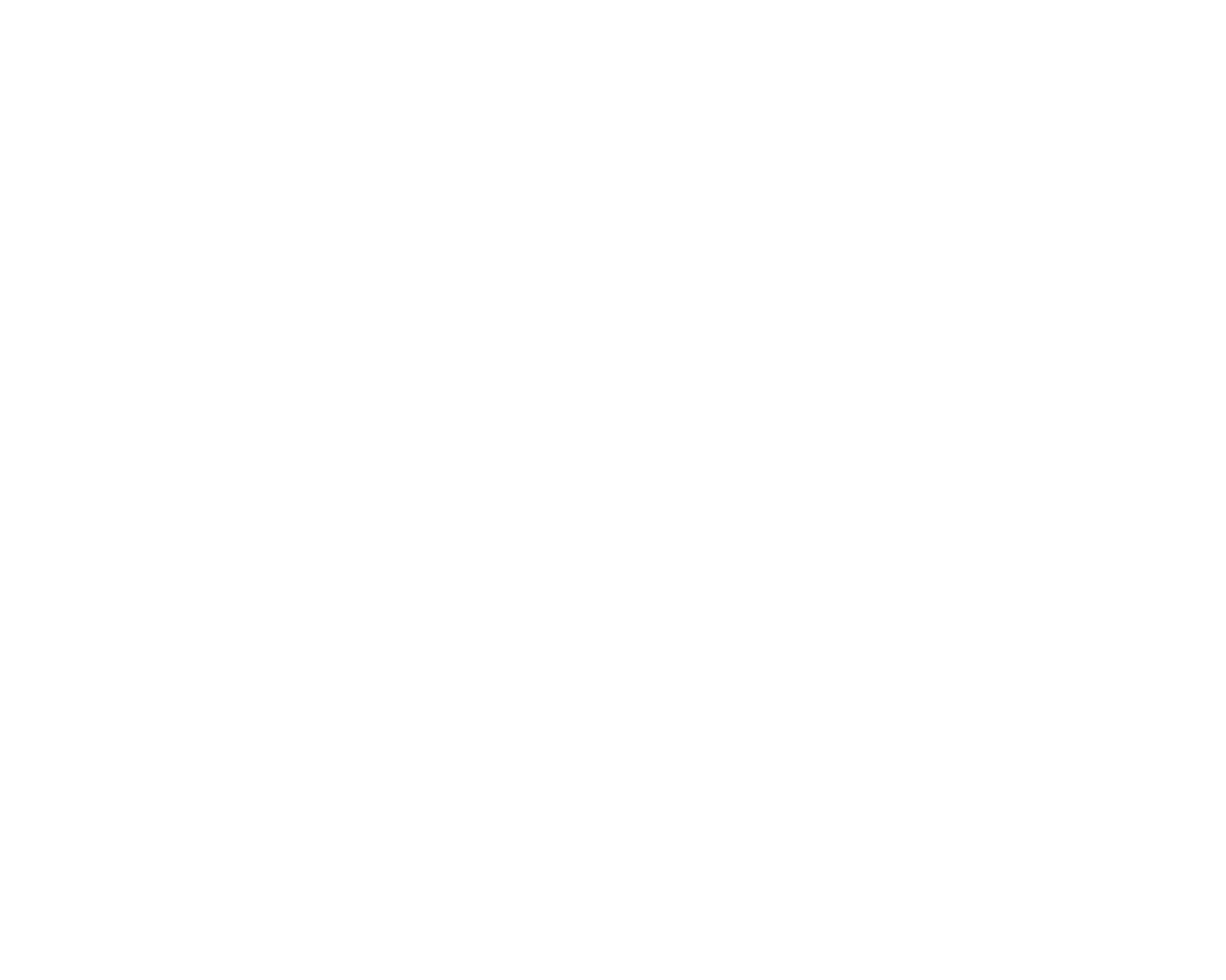 MVM — Media Village Mallorca